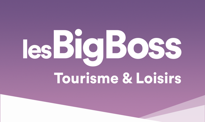 Vignette lesBigBoss Verticale Tourisme et Loisirs Online Meetings