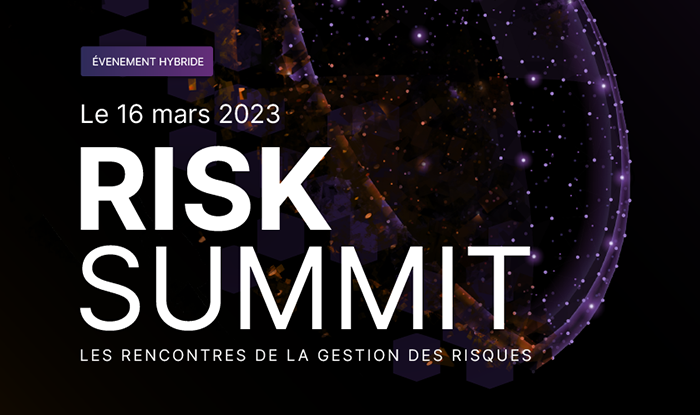 Vignette Risk Summit